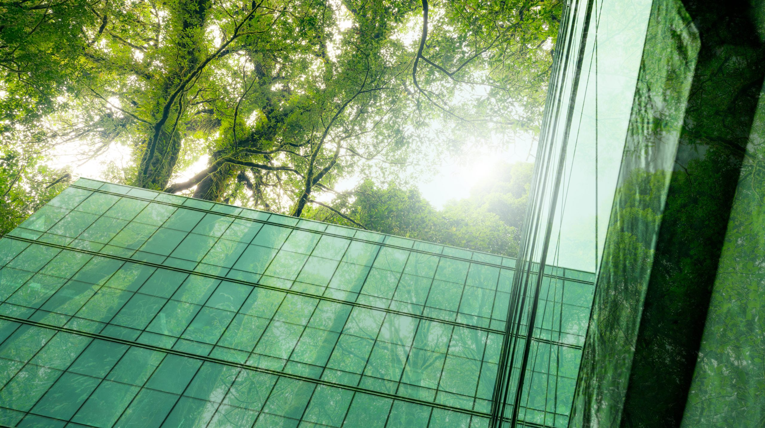 Edifício ecológico na cidade moderna. Edifício de escritórios de vidro sustentável com árvores para reduzir o CO2. Arquitetura verde. Edifício com ambiente verde. Sustentabilidade corporativo. Emissões líquidas zero.