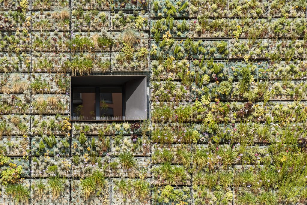Arquitetura sustentável moderna com parede de construção coberta de plantas e janela solitária